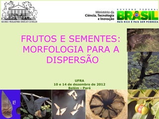 FRUTOS E SEMENTES:
MORFOLOGIA PARA A
    DISPERSÃO

                 UFRA
     10 e 14 de dezembro de 2012
             Belém - Pará
 