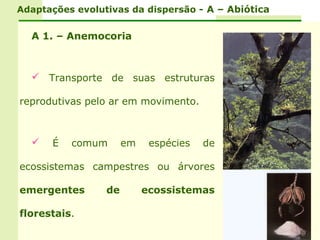 Adaptações evolutivas da dispersão - A – Abiótica


  A 1. – Anemocoria



   Transporte de suas estruturas

reprodutivas pelo ar em movimento.



     É   comum       em    espécies   de

ecossistemas campestres ou árvores

emergentes       de        ecossistemas

florestais.
 