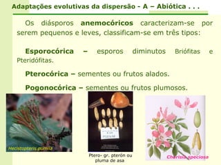 Adaptações evolutivas da dispersão - A – Abiótica . . .

     Os diásporos anemocóricos caracterizam-se por
   serem pequenos e leves, classificam-se em três tipos:

       Esporocórica    –      esporos             diminutos      Briófitas        e
   Pteridófitas.

       Pterocórica – sementes ou frutos alados.

       Pogonocórica – sementes ou frutos plumosos.




Hecistopteris pumila
                           Ptero- gr. pterón ou               Chorisia speciosa
                              pluma de asa
 