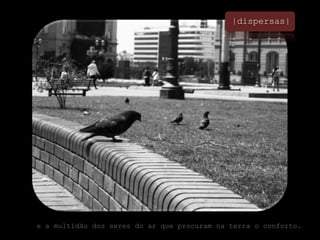 |dispersas|e a multidão dos seres do ar que procuram na terra o conforto. 