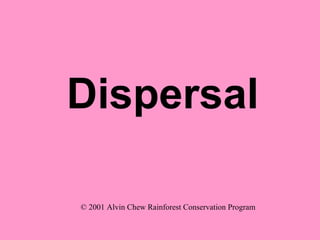 Dispersal © 2001 Alvin Chew Rainforest Conservation Program 