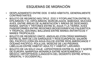 ESQUEMAS DE MIGRACIÓN DESPLAZAMIENTO ENTRE DOS  O MÁS HÁBITATS, GENERALMENTE CONTRASTANTES. BOLETO DE REGRESO MÚLTIPLE. ZOO Y FITOPLANCTON ENTRE EL EPILIMNION Y EL HIPOLIMNION; MURCIÉLAGOS, BABOSAS, MUCHAS AVES, ENTRE ÁREAS DE ALIMENTACIÓN Y ÁREAS DE DESCANSO; RANAS, SAPOS Y TRITONES ENTRE EL AGUA Y LA TIERRA; AVES PASERIFORMES ENTRE REGIONES BIOGEOGRÁFICAS PALEÁRTICA Y TROPICAL (SAVANA); BALLENAS ENTRE MARES ANTÁRTICOS Y MARES TROPICALES. BOLETO DE REGRESO ÚNICO. ANGUILAS (CON CRÍAS MARINAS) ENTRE EL MAR DE LOS SARGAZOS Y RÍOS EUROPEOS; SALMÓN DEL PACÍFICO (CRÍA EN AGUA DULCE) ENTRE RÍOS AMERICANOS Y OCEANO PACÍFICO; POLILLAS, MOSCAS DE LAS PIEDRAS, LIBÉLULAS ENTRE HÁBITAT ADULTO Y HÁBITAT LARVARIO. BOLETO DE UN SOLO VIAJE. LEPIDÓTEROS ENTRE EL SUR Y NORTE DE EUROPA; MARIPOSA MONARCA ENTRE NORTEAMÉRICA Y MÉXICO; ORTÓPTEROS (LANGOSTA DEL DESIERTO ENTRE AFRICA ORIENTAL Y OCCIDENTAL). 