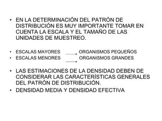 EN LA DETERMINACIÓN DEL PATRÓN DE DISTRIBUCIÓN ES MUY IMPORTANTE TOMAR EN CUENTA LA ESCALA Y EL TAMAÑO DE LAS UNIDADES DE MUESTREO. ESCALAS MAYORES  ORGANISMOS PEQUEÑOS ESCALAS MENORES  ORGANISMOS GRANDES LAS ESTIMACIONES DE LA DENSIDAD DEBEN DE CONSIDERAR LAS CARACTERÍSTICAS GENERALES DEL PATRÓN DE DISTRIBUCIÓN. DENSIDAD MEDIA Y DENSIDAD EFECTIVA  