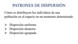 PATRONES DE DISPERSIÓN
Cómo se distribuyen los individuos de una
población en el espacio en un momento determinado
 Dispersión uniforme
 Dispersión aleatoria
 Dispersión agrupada
 