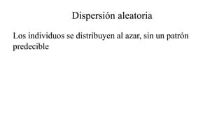 Dispersión aleatoria
Los individuos se distribuyen al azar, sin un patrón
predecible
 
