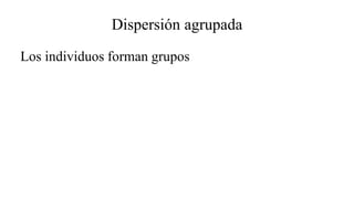 Dispersión agrupada
Los individuos forman grupos
 