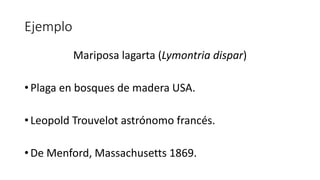 Ejemplo
Mariposa lagarta (Lymontria dispar)
• Plaga en bosques de madera USA.
• Leopold Trouvelot astrónomo francés.
• De Menford, Massachusetts 1869.
 