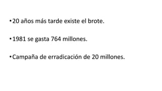 •20 años más tarde existe el brote.
•1981 se gasta 764 millones.
•Campaña de erradicación de 20 millones.
 