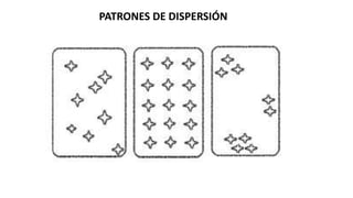 PATRONES DE DISPERSIÓN
 