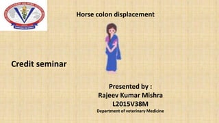 Horse colon displacement
Presented by :
Rajeev Kumar Mishra
L2015V38M
Department of veterinary Medicine
Credit seminar
 