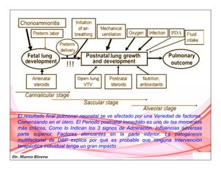 Dr. Marco Rivera
El resultado final pulmonar neonatal se ve afectado por una Variedad de factores,
Comenzando en el útero. El Periodo postnatal Inmediato es uno de los momentos
más críticos, Como lo Indican los 3 signos de Admiración. Influencias adversas
parte superior. Factores atenuantes en la parte inferior. La patogénesis
multifactorial de DBP explica por qué es probable que ninguna Intervención
terapéutica individual tenga un gran impacto
 