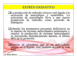 Dr. Marco Rivera
ESTRÉS OXIDATIVO
La producción de radicales tóxicos está ligada a la
activación de macrófagos y neutrófilos. La
activación de macrófagos lleva a una mayor
producción de radicales como peróxido de
hidrógeno.
Además los prematuros presentan deficiencia en
la síntesis de enzimas antioxidantes pulmonares y
renales: la producción de enzimas antioxidantes
se incrementa dramáticamente durante el último
40% de la gestación.
Síntesis de glutathion que es un antioxidante
mayor, en el hígado, está limitada durante la vida
fetal.
 