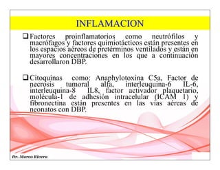 Dr. Marco Rivera
INFLAMACION
Factores proinflamatorios como neutrófilos y
macrófagos y factores quimiotácticos están presentes en
los espacios aéreos de pretérminos ventilados y están en
mayores concentraciones en los que a continuación
desarrollaron DBP.
Citoquinas como: Anaphylotoxina C5a, Factor de
necrosis tumoral alfa, interleuquina-6 IL-6,
interleuquina-8 IL8, factor activador plaquetario,
molécula-1 de adhesión intracelular (ICAM 1) y
fibronectina están presentes en las vías aéreas de
neonatos con DBP.
 