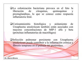 Dr. Marco Rivera
La colonización bacteriana provoca en el feto la
liberación de citoquinas, quimoquinas y
prostaglandinas, lo que se conoce como respuesta
inflamatoria fetal.
Corioamnionitis histológica y aislamiento de
Ureaplasma urealyticum también están asociados con
mayores concentraciones de MIP-1 alfa y beta
(proteínas inflamatorias de macrófagos)
Infección pulmonar persistente con Ureaplasma
urealyticum puede contribuir a la inflamación crónica y
fibrosis temprana en el pulmón del pretérmino.
 