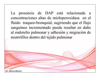 Dr. Marco Rivera
La presencia de DAP está relacionada a
concentraciones altas de mieloperoxidasa en el
fluido traqueo-bronquial, sugiriendo que el flujo
sanguíneo incrementado puede resultar en daño
al endotelio pulmonar y adhesión y migración de
neutrófilos dentro del tejido pulmonar
 