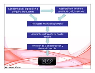 Dr. Marco Rivera
Corioamnioitis: exposición a
citoquina intrauterina
Resucitación, inicio de
ventilación, 02, infección
Respuesta inflamatoria pulmonar
Aberrante cicatrización de herida,
fibrosis
Inhibición de la alveolarización y
desarrollo vascular
 