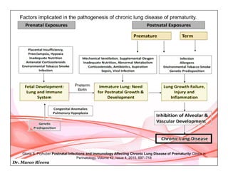 Dr. Marco Rivera
Factors implicated in the pathogenesis of chronic lung disease of prematurity.
Gloria S. Pryhuber Postnatal Infections and Immunology Affecting Chronic Lung Disease of Prematurity Clinics in
Perinatology, Volume 42, Issue 4, 2015, 697–718
 