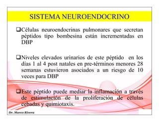 Dr. Marco Rivera
SISTEMA NEUROENDOCRINO
Células neuroendocrinas pulmonares que secretan
péptidos tipo bombesina están incrementadas en
DBP
Niveles elevados urinarios de este péptido en los
días 1 al 4 post natales en pre-términos menores 28
semanas estuvieron asociados a un riesgo de 10
veces para DBP
Este péptido puede mediar la inflamación a través
de estimulación de la proliferación de células
cebadas y quimiotaxis.
 