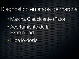 Diagnóstico en etapa de marcha
  • Marcha Claudicante (Pato)
  • Acortamiento de la
    Extremidad
  • Hiperlordosis
 