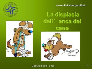www.clinicaborgarello.it



          La displasia
         dell’anca del
             cane




Displasia dell’anca                              1
 