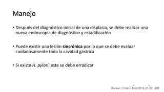 Manejo
• Después del diagnóstico inicial de una displasia, se debe realizar una
nueva endoscopia de diagnóstico y estadificación
• Puede existir una lesión sincrónica por lo que se debe evaluar
cuidadosamente toda la cavidad gastrica
• Si existe H. pylori, este se debe erradicar
 