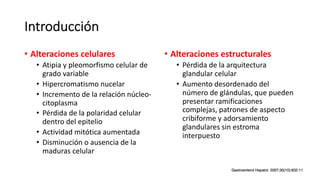 Introducción
• Alteraciones celulares
• Atipia y pleomorfismo celular de
grado variable
• Hipercromatismo nucelar
• Incremento de la relación núcleo-
citoplasma
• Pérdida de la polaridad celular
dentro del epitelio
• Actividad mitótica aumentada
• Disminución o ausencia de la
maduras celular
• Alteraciones estructurales
• Pérdida de la arquitectura
glandular celular
• Aumento desordenado del
número de glándulas, que pueden
presentar ramificaciones
complejas, patrones de aspecto
cribiforme y adorsamiento
glandulares sin estroma
interpuesto
 