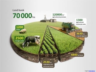 Image by Anton Egorov
 