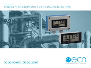 Display multiparametrico con comunicación HART
 