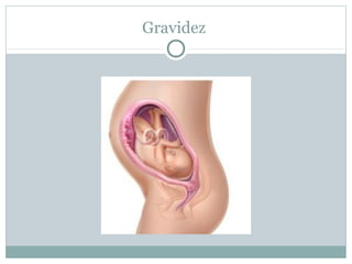 Gravidez
 