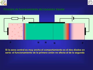 N
Principio de funcionamiento del transistor bipolar
P N N P
Si la zona central es muy ancha el comportamiento es el dos diodos en
serie: el funcionamiento de la primera unión no afecta al de la segunda
 