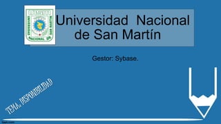 Universidad Nacional
de San Martín
Gestor: Sybase.
 