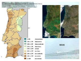 Escola Básica 2,3/S Michel Giacometti  GEO  10  - Disponibilidades HídricasA REDE HIDROGRÁFICA PORTUGUESAA rede hidrográfica é densa apresentando um contraste norte-sulA norte o relevo é mais acidentado e a rede apresenta-se:Orientação    Maior densidadeMaior encaixe dos riosVales profundosDeclives acentuadosEste-OesteNordeste - SudoesteSul – Norte (Sado)Norte – Sul (Guadiana)