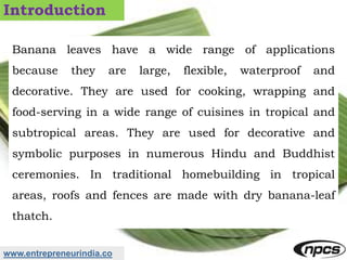 www.entrepreneurindia.co
Introduction
Banana leaves have a wide range of applications
because they are large, flexible, wa...