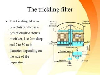 Disposal of excreta | PPTX