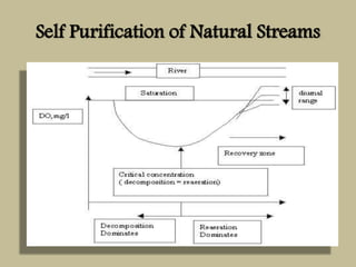Self Purification Environmental Engineering -II Unit I | PPTX