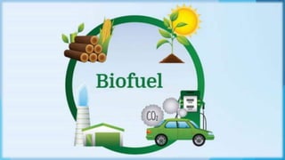 Dispose Of Used Cooking Oil At Core Biofuels.pptx