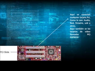 Aquí se conectan
cualquier tarjeta Pci,
Como lo son: Audio,
Red, firewire, usb y
otros.
Aquí también se las
tarjetas de video
llamadas          PCI
EXPRESS
 