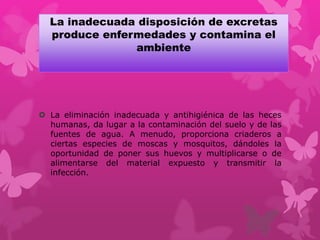 La inadecuada disposición de excretas
produce enfermedades y contamina el
ambiente
 La eliminación inadecuada y antihigiénica de las heces
humanas, da lugar a la contaminación del suelo y de las
fuentes de agua. A menudo, proporciona criaderos a
ciertas especies de moscas y mosquitos, dándoles la
oportunidad de poner sus huevos y multiplicarse o de
alimentarse del material expuesto y transmitir la
infección.
 