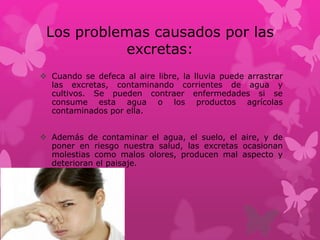 Los problemas causados por las
excretas:
 Cuando se defeca al aire libre, la lluvia puede arrastrar
las excretas, contaminando corrientes de agua y
cultivos. Se pueden contraer enfermedades si se
consume esta agua o los productos agrícolas
contaminados por ella.
 Además de contaminar el agua, el suelo, el aire, y de
poner en riesgo nuestra salud, las excretas ocasionan
molestias como malos olores, producen mal aspecto y
deterioran el paisaje.
 