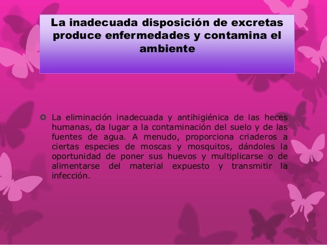 Disposicion d excretas saneamiento