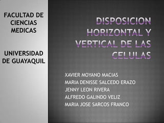FACULTAD DE
  CIENCIAS
  MEDICAS


UNIVERSIDAD
DE GUAYAQUIL

               •XAVIER MOYANO MACIAS
               •MARIA DENISSE SALCEDO ERAZO

               •JENNY LEON RIVERA

               •ALFREDO GALINDO VELIZ

               •MARIA JOSE SARCOS FRANCO
 