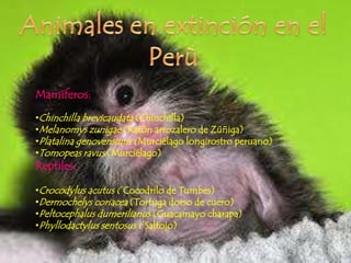 Mamíferos:
•Chinchilla brevicaudata (Chinchilla)
•Melanomys zunigae (Ratón arrozalero de Zúñiga)
•Platalina genovensium (Murciélago longirostro peruano)
•Tomopeas ravus (Murciélago)
Reptiles:

•Crocodylus acutus ( Cocodrilo de Tumbes)
•Dermochelys coriacea (Tortuga dorso de cuero)
•Peltocephalus dumerilianus (Guacamayo charapa)
•Phyllodactylus sentosus ( Saltojo)
 