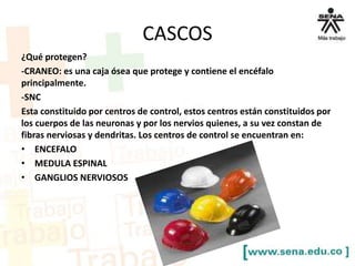 CASCOS
¿Qué protegen?
-CRANEO: es una caja ósea que protege y contiene el encéfalo
principalmente.
-SNC
Esta constituido por centros de control, estos centros están constituidos por
los cuerpos de las neuronas y por los nervios quienes, a su vez constan de
fibras nerviosas y dendritas. Los centros de control se encuentran en:
• ENCEFALO
• MEDULA ESPINAL
• GANGLIOS NERVIOSOS
 