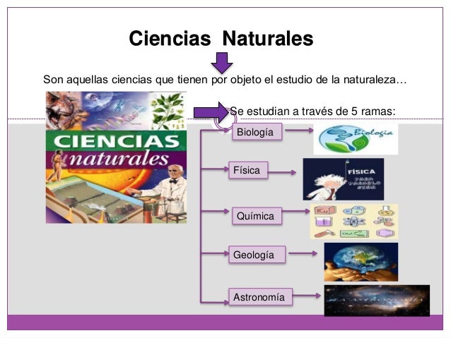 Diapositivas de naturaleza ciencia y naturaleza unidad i