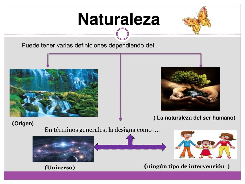 Diapositivas De Naturaleza Ciencia Y Naturaleza Unidad I