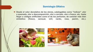 Semiología Olfativa
 Desde el valor denotativo de los olores, catalogables como "índices" ,olor
a quemado, olor a descomposición, olor a cerrado, olor a fresco, etc. hasta
llegar a códigos artificiales como el de los perfumes, de carácter más bien
simbólico (fresco, sensual, viril, nardo, rosa, jazmín, etc.).
 