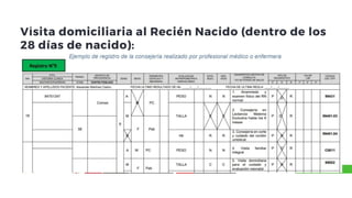 Promsa lineamientos de PROMSA de ministerio de salud 2025 2.ppt