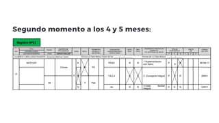Promsa lineamientos de PROMSA de ministerio de salud 2025 2.ppt