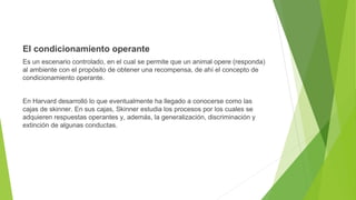 El condicionamiento operante
Es un escenario controlado, en el cual se permite que un animal opere (responda)
al ambiente con el propósito de obtener una recompensa, de ahí el concepto de
condicionamiento operante.
En Harvard desarrolló lo que eventualmente ha llegado a conocerse como las
cajas de skinner. En sus cajas, Skinner estudia los procesos por los cuales se
adquieren respuestas operantes y, además, la generalización, discriminación y
extinción de algunas conductas.
 