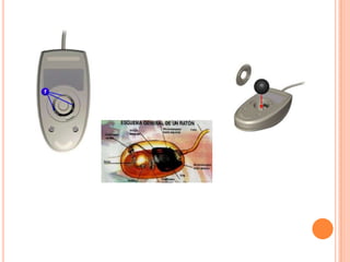 Dispositivo De Entrada Y Salida